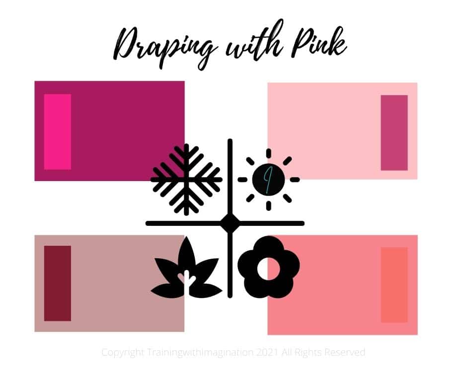 Shades of pink for summer winter spring and autumn skintones